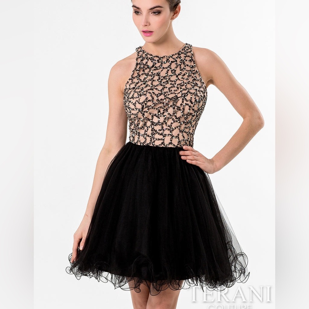 Terani Couture beaded dress